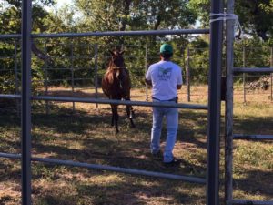 IMG-20160705-WA0042