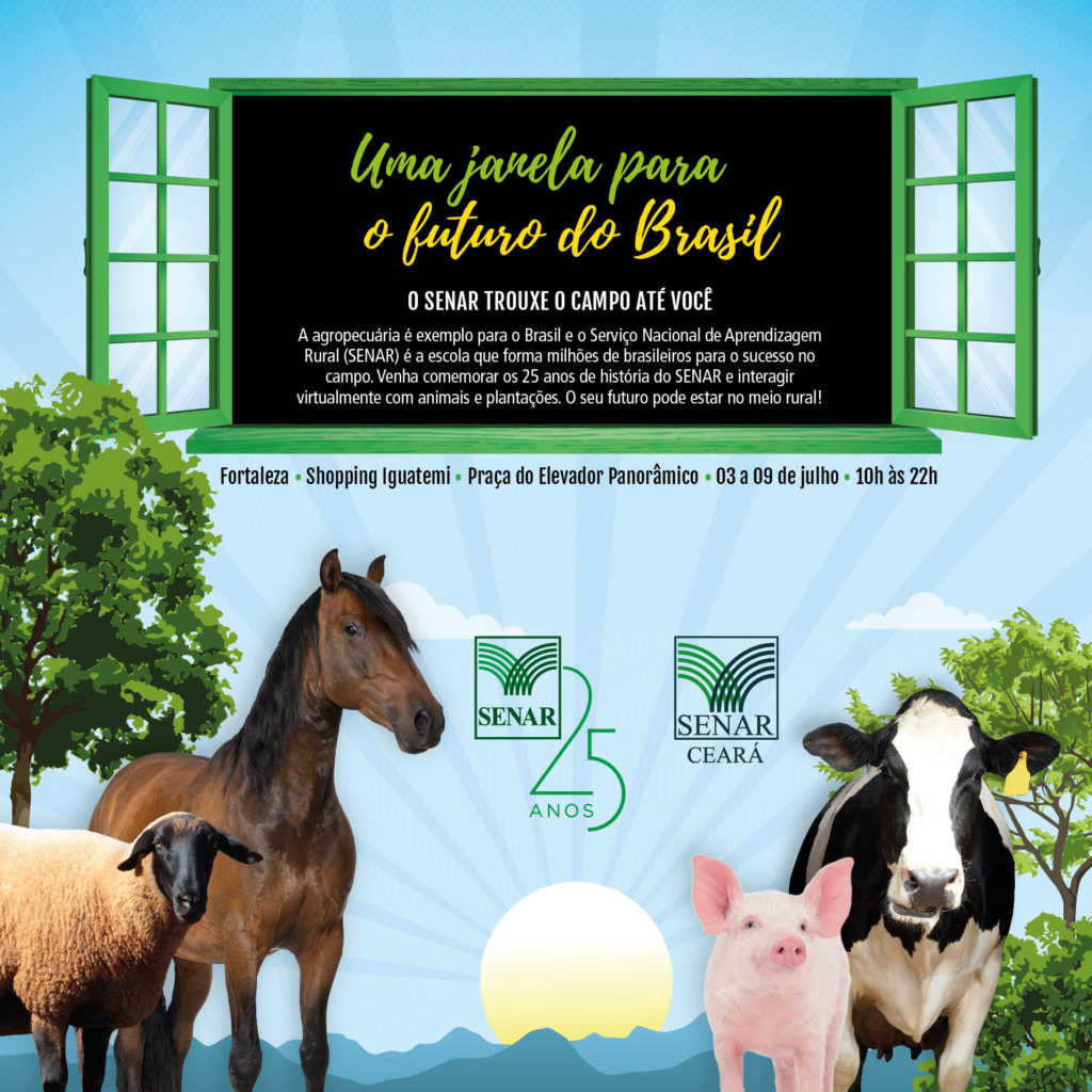 Layout2_FBeTT_UmaJanelaParaOFuturoDoBrasil_918x918px