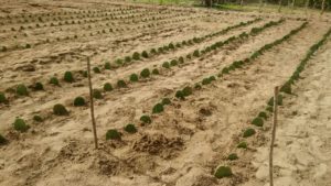 WhatsApp Image 2018-01-30 at 17.45.52