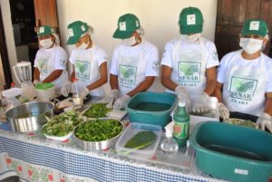 aproveitamento da palma