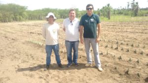 WhatsApp Image 2018-01-31 at 11.11.01