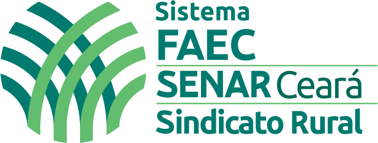 Voltar para a página inicial